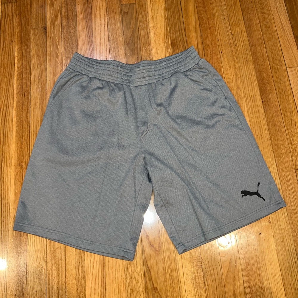 Puma Men's Athletic Shorts in Light Gray